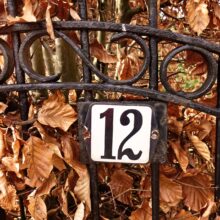 Numerology Services Image For Numerology Page By Best Numerologist In Delhi